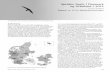 Sjældne fugle i Danmark og grønland i 2012
