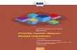 REPORT Priority Sector Report: Digital Industries Ci