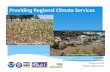 Providing Regional Climate Services