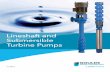 BTURBINE Lineshaft and Submersible Turbine - Pumps & Service