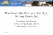 The Good, the Bad, and the Ugly: Survey Examples - Naval