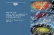 Recent Developments and Current Initiatives (2010) - IMF Statistics