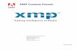 XMP Custom Panels - Metadata Deluxe