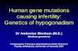 Human gene mutations causing infertility