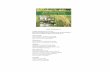 Table of Contents Paddy Postharvest Losses Recommended Rice Postharvest Technologies