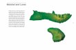 USGS Geologic Investigations Series I-2761, Molokai and Lanai
