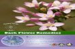 Bach Flower Remedies - Crystal Herbs