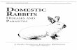 Domestic Rabbits: Diseases and Parasites, PNW 310-E (Oregon