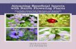 Attracting Beneficial Insects with Native Flowering Plants