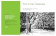 Trees in Our Community - NYU Steinhardt