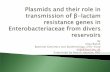 Plasmids in Enterobacteriaceae - EU Reference Laboratory