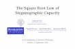 The Square Root Law of Steganographic Capacity