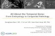 All About the Temporal Bone