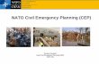 NATO Civil Emergency Planning (CEP)