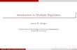 Introduction to Multiple Regression - Statpower