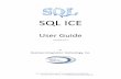 SQL ICE - Business Integration Tech
