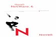 NetWare® 6 GLOSSARY - Novell