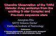 Chandra observation of the Trifid Nebula: X-ray emission