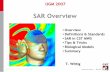 SAR Overview - CST