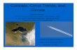 Contrails, Cirrus Trends, and Climate