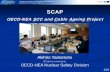 OECD-NEA SCC and Cable Ageing Project - OECD Nuclear Energy