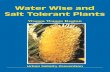 Water Wise and Salt Tolerant Plants - Wagga Wagga City Council