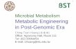 Metabolic Engineering in Post-Genomic Era