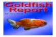 Goldfish Report 04-07&08.pub - The Goldfish Society of America