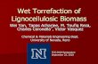 Wet Torrefaction of Lignocellulosic Biomass
