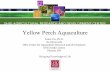 Yellow Perch Aquaculture - eXtension
