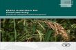 Plant nutrition for food security - Home | Food and ...