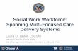 Social Work Workforce: Spanning Multi-Focused Care ...