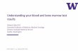 Understanding your blood and bone marrow test results