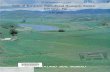 Soils of Koronivia Agricultural Research Station, Viti ...