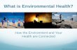what is environmental health   - PHPA