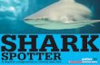 Shark Spotter - Scholastic
