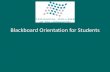 Blackboard Orientation for Students - Technical College of