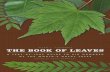 THE BOOK OF LEAVES - University of Chicago Press