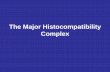The Major Histocompatibility Complex -   - Get a Free