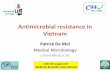Antimicrobial resistance in Vietnam - UCLouvain