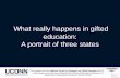What really happens in gifted education: A portrait of ...
