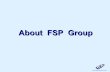 About FSP Group
