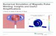Numerical Insights and Optimization of Magnetic Pulse ...