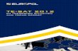 TE-SAT 2012 - Europol - Europa