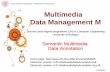Multimedia Data Management M - unibo.it