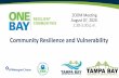 Community Resilience and Vulnerability - TBRPC