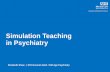 Simulation Teaching in Psychiatry