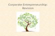 Corporate Entrepreneurship: Revision