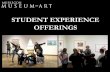 STUDENT EXPERIENCE OFFERINGS