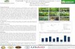 Varietal Trial of Cassava (Manihot esculenta Crantz) for ...